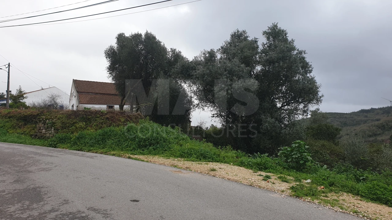 Terreno para Venda em Santo Quintino Foto 9