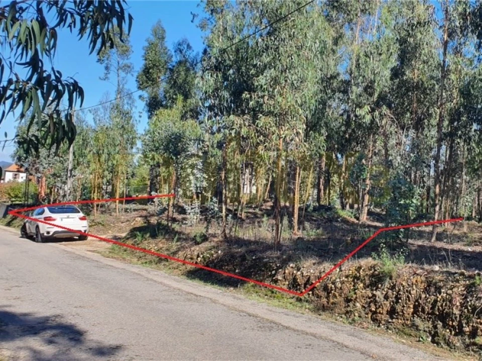 Terreno para Venda em Macinhata do Vouga Foto 1