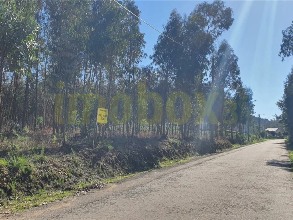 Terreno para Venda em Macinhata do Vouga Foto 2