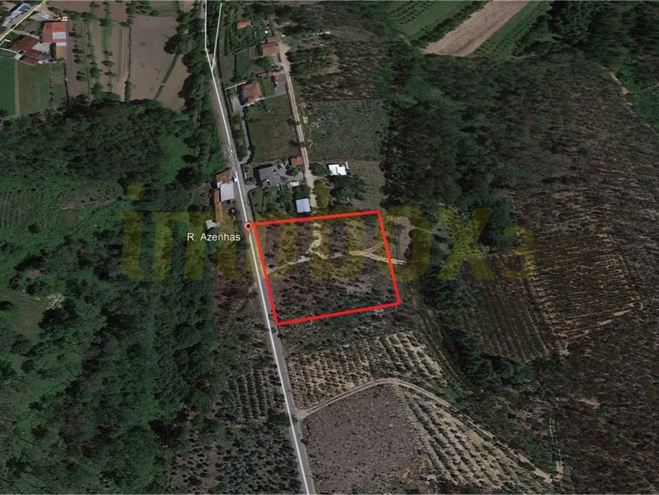 Terreno para Venda em Macinhata do Vouga Foto 4