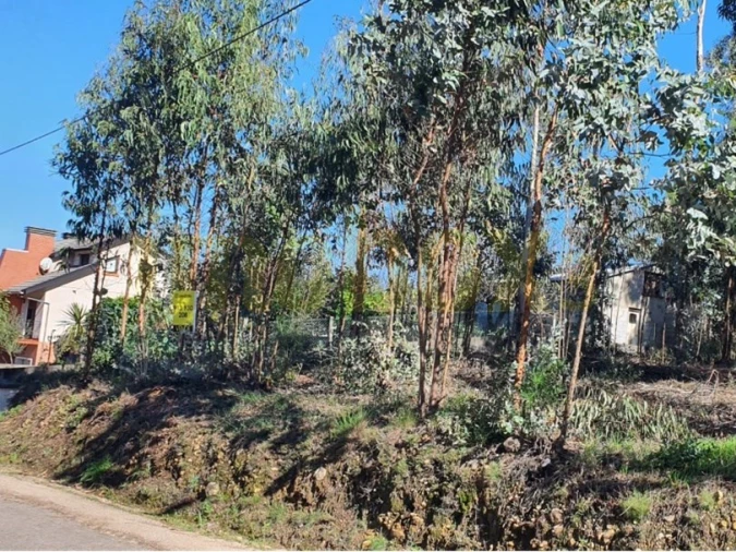 Terreno para Venda em Macinhata do Vouga Foto 3