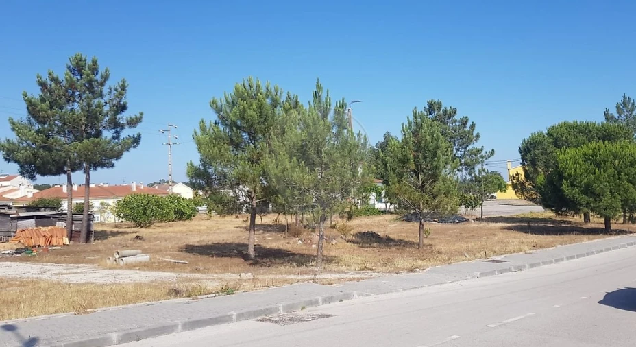 Terreno para Venda em Vale da Pedra Foto 15