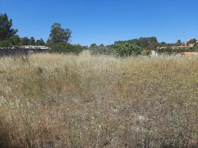 Terreno para Venda em Vale da Pedra Foto 6