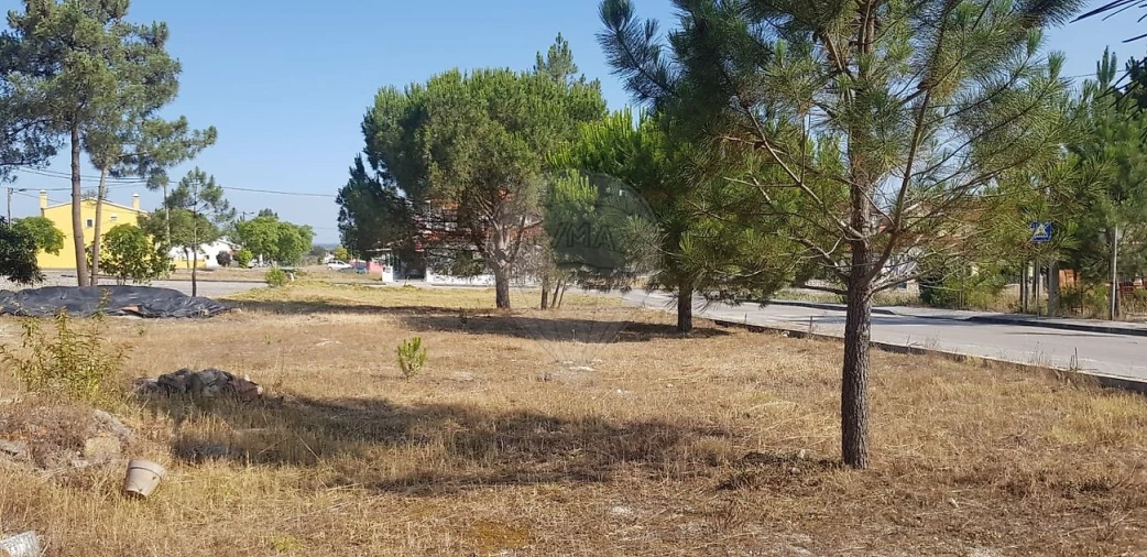 Terreno para Venda em Vale da Pedra Foto 20