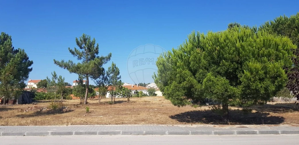 Terreno para Venda em Vale da Pedra Foto 18