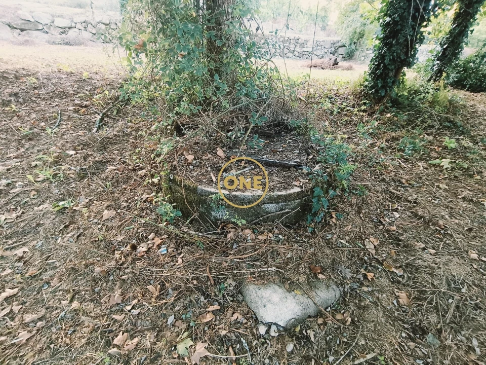 Terreno para Venda em Souto Foto 9