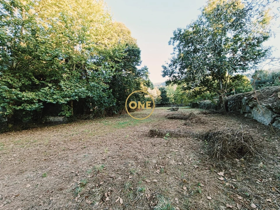 Terreno para Venda em Souto Foto 5
