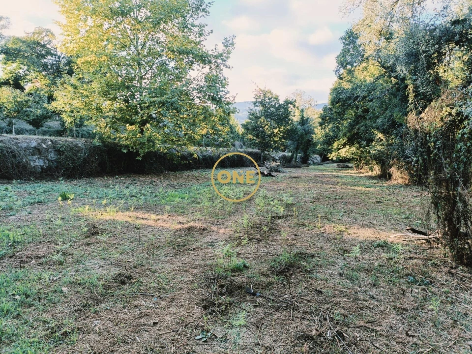 Terreno para Venda em Souto Foto 12