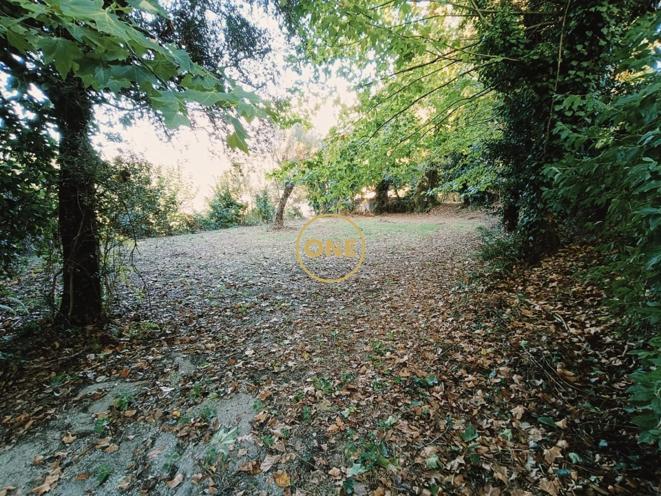 Terreno para Venda em Souto Foto 14