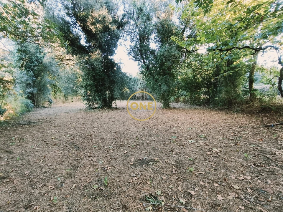 Terreno para Venda em Souto Foto 11