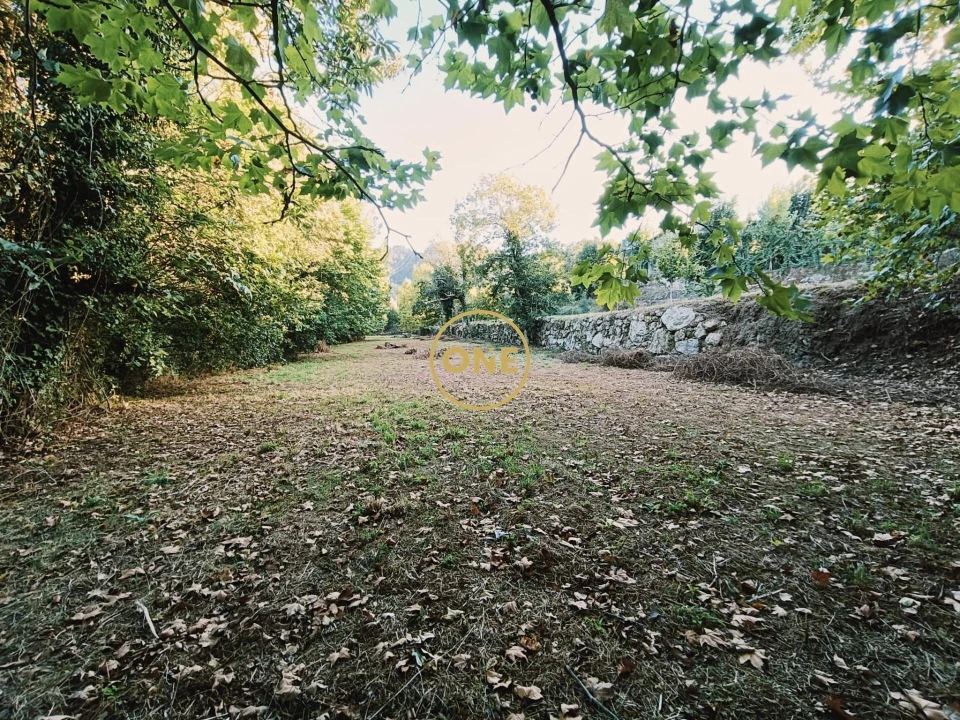 Terreno para Venda em Souto Foto 13