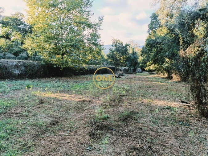 Terreno para Venda em Souto Foto 12