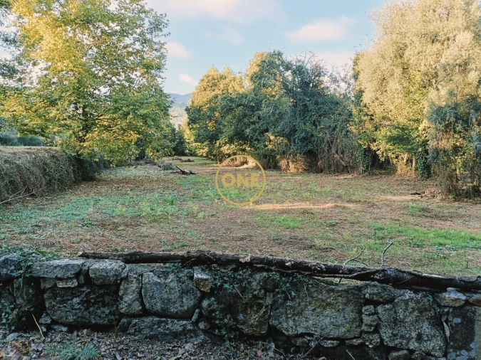 Terreno para Venda em Souto Foto 8
