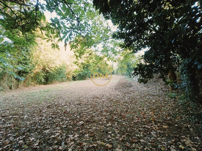 Terreno para Venda em Souto Foto 3