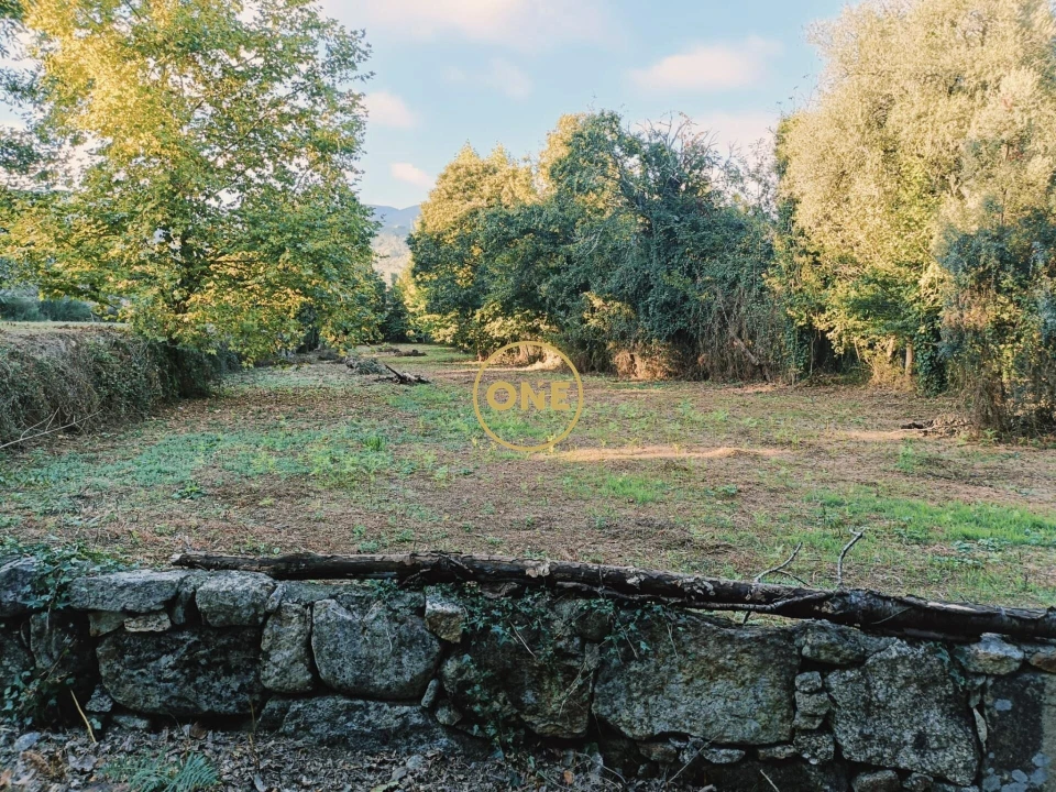 Terreno para Venda em Souto Foto 8