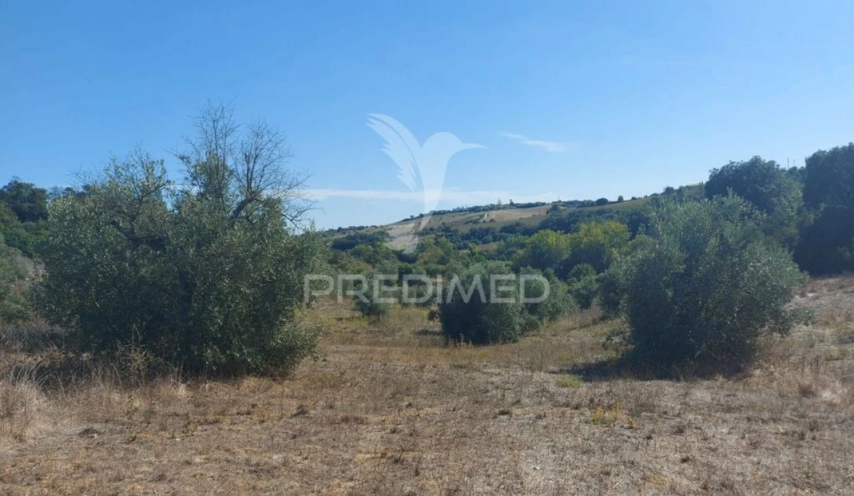 Terreno para Venda em Achete, Azoia de Baixo e Póvoa de Santarém Foto 7