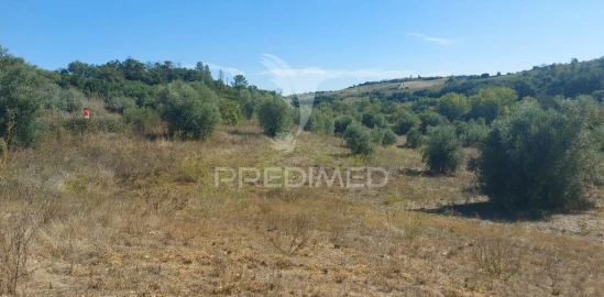 Terreno para Venda em Achete, Azoia de Baixo e Póvoa de Santarém