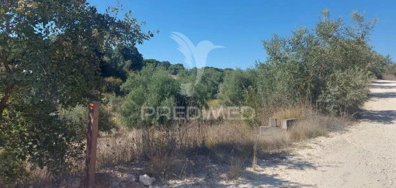 Terreno para Venda em Achete, Azoia de Baixo e Póvoa de Santarém