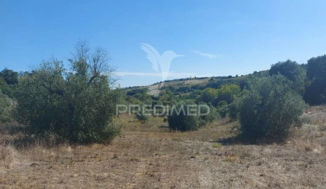Terreno para Venda em Achete, Azoia de Baixo e Póvoa de Santarém