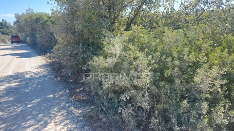 Terreno para Venda em Achete, Azoia de Baixo e Póvoa de Santarém