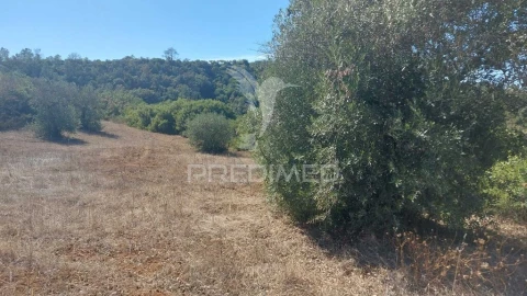Terreno para Venda em Achete, Azoia de Baixo e Póvoa de Santarém
