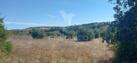 Terreno para Venda em Achete, Azoia de Baixo e Póvoa de Santarém