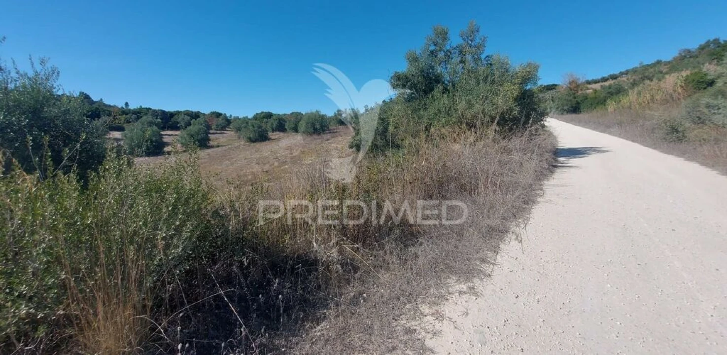 Terreno para Venda em Achete, Azoia de Baixo e Póvoa de Santarém Foto 4