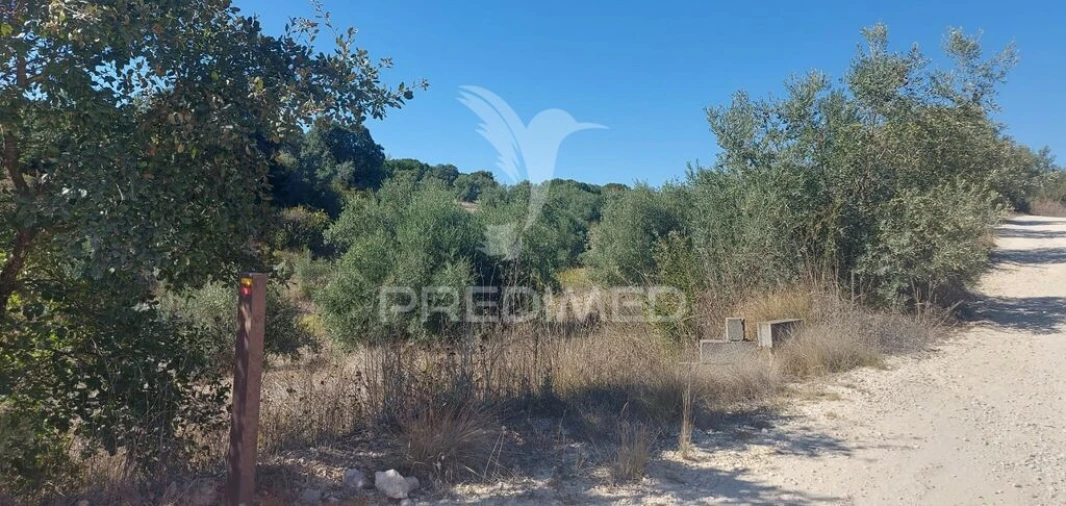Terreno para Venda em Achete, Azoia de Baixo e Póvoa de Santarém Foto 2