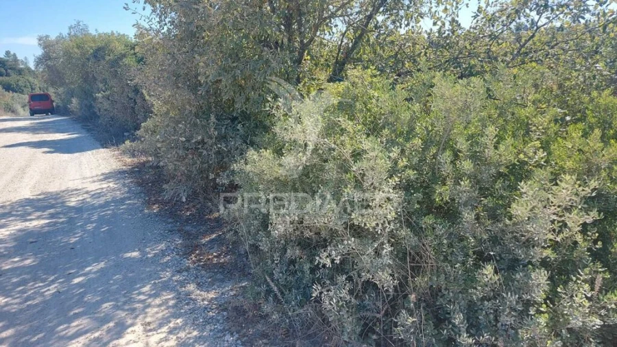 Terreno para Venda em Achete, Azoia de Baixo e Póvoa de Santarém Foto 5