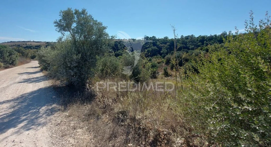 Terreno para Venda em Achete, Azoia de Baixo e Póvoa de Santarém Foto 3