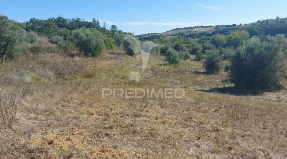 Terreno para Venda em Achete, Azoia de Baixo e Póvoa de Santarém Foto 6