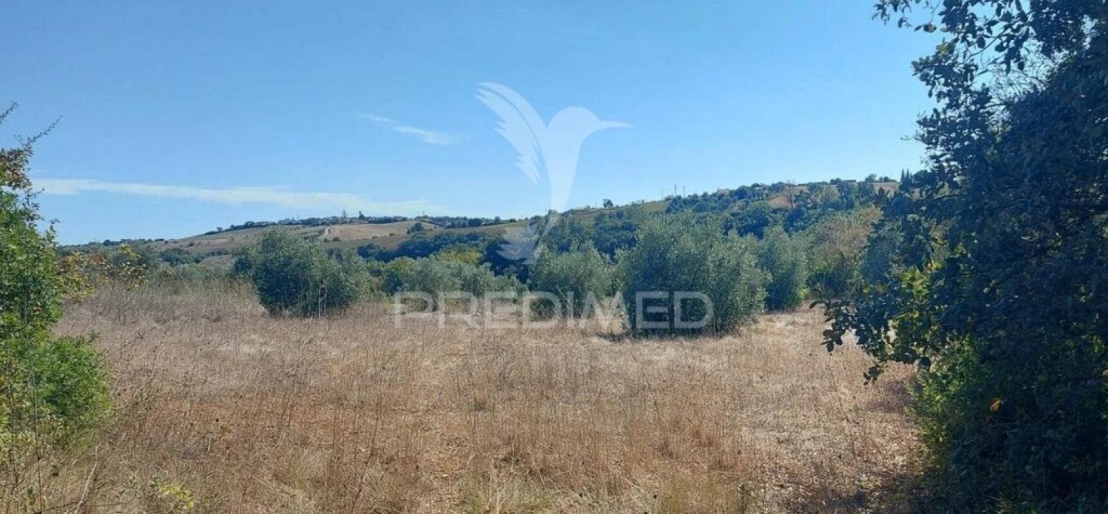 Terreno para Venda em Achete, Azoia de Baixo e Póvoa de Santarém Foto 10
