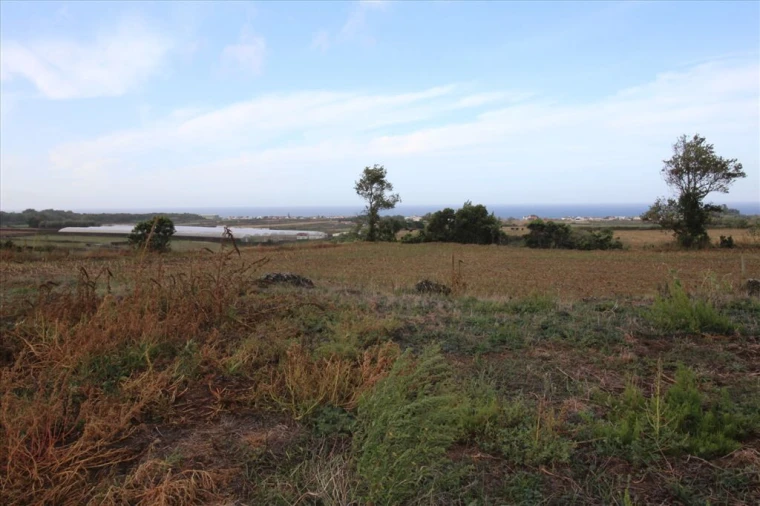 Terreno para Venda em Calhetas Foto 10