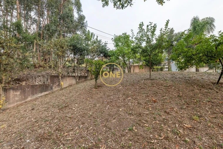 Moradia T3 para Venda em Vale (São Cosme), Telhado e Portela Foto 41