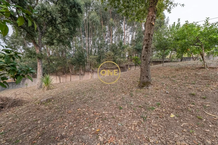 Moradia T3 para Venda em Vale (São Cosme), Telhado e Portela Foto 39