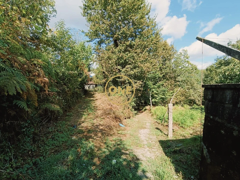 Terreno para Venda em Souto Foto 8