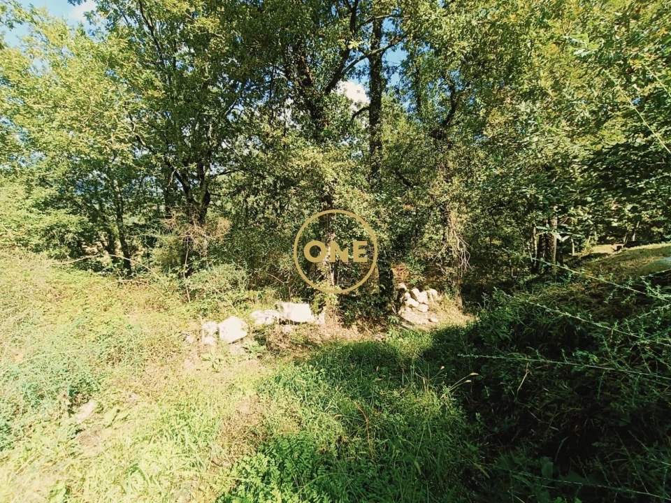 Terreno para Venda em Souto Foto 12