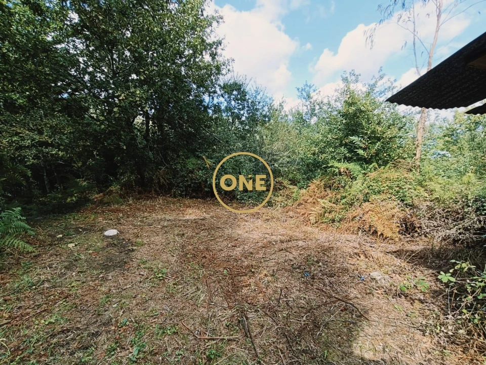 Terreno para Venda em Souto Foto 10