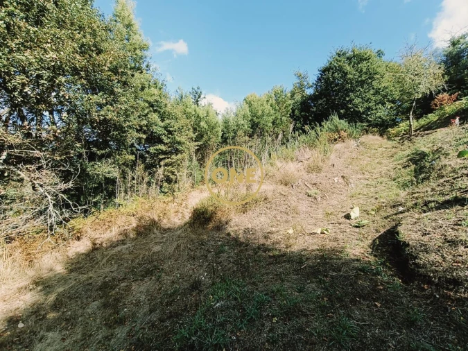 Terreno para Venda em Souto Foto 13
