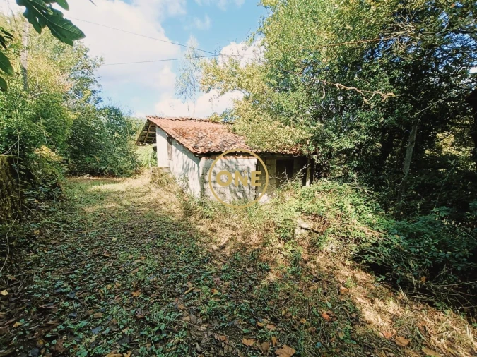 Terreno para Venda em Souto Foto 3