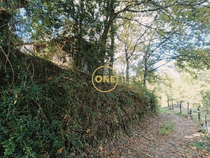 Terreno para Venda em Souto Foto 9