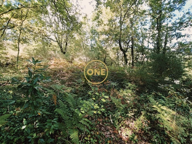 Terreno para Venda em Souto Foto 4