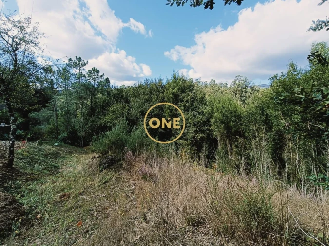 Terreno para Venda em Souto Foto 7