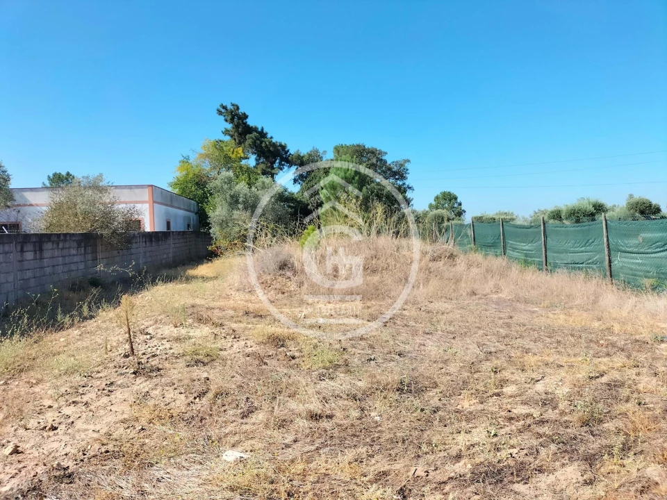 Terreno para Venda em Chamusca e Pinheiro Grande Foto 3