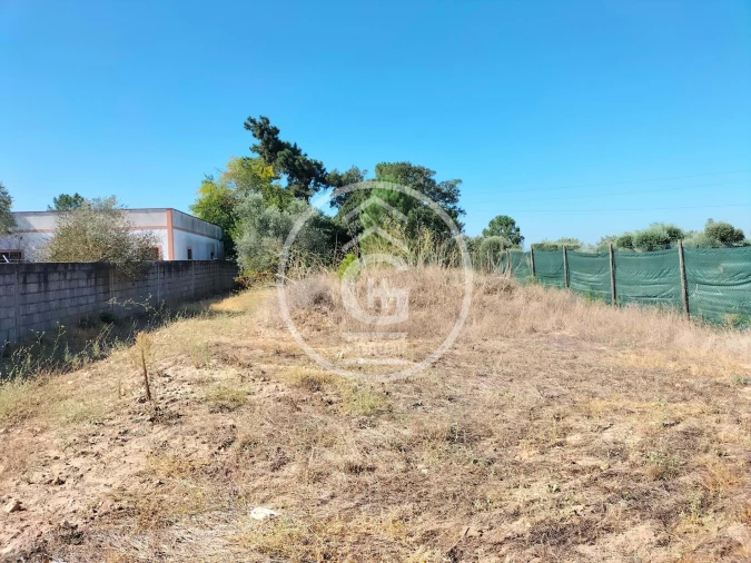 Terreno para Venda em Chamusca e Pinheiro Grande Foto 3