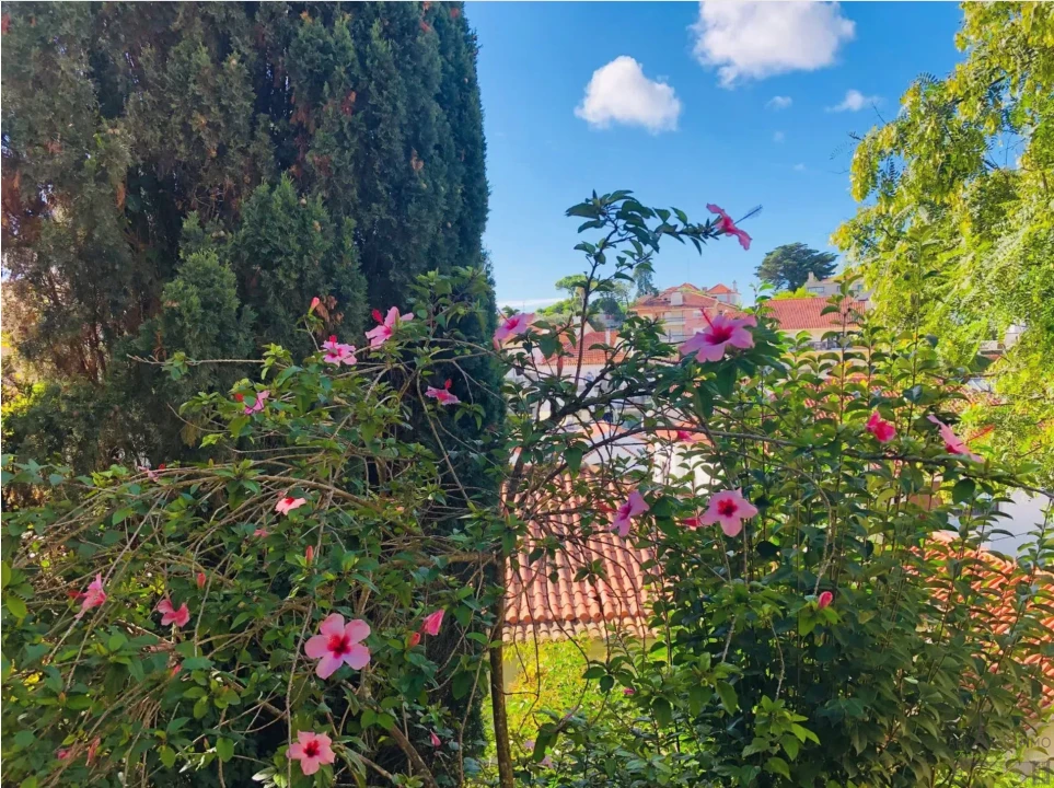 Apartamento T2 para Venda em Cascais e Estoril Foto 1