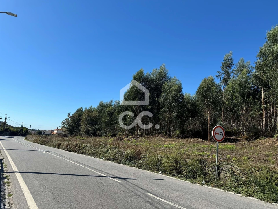 Terreno para Venda em Nespereira e Casais Foto 14