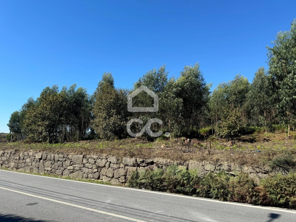 Terreno para Venda em Nespereira e Casais Foto 13