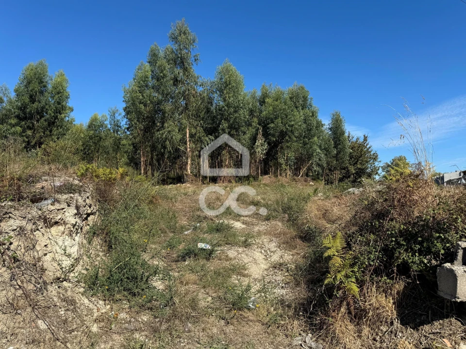 Terreno para Venda em Nespereira e Casais Foto 9