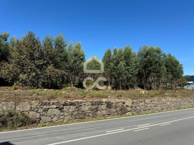 Terreno para Venda em Nespereira e Casais Foto 12